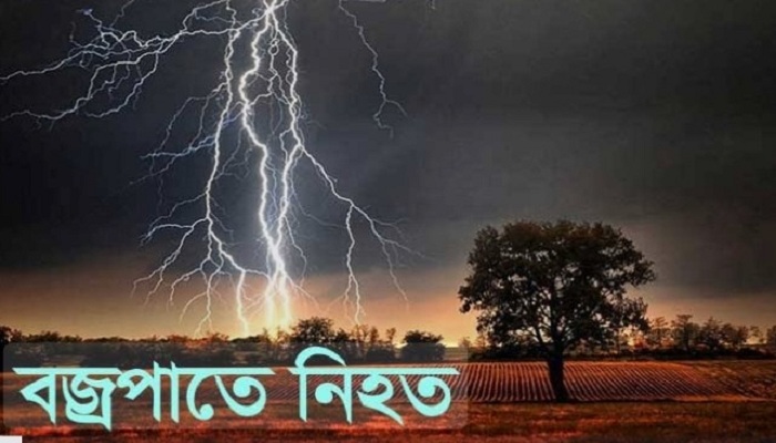 মঠবাড়িয়ায় বজ্রপাতে তিন কৃষকের তিনটি গরুর মৃত্যু