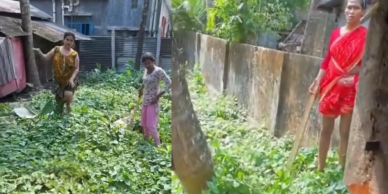 রায়পুরে কিছু তৃতীয় লিঙ্গের বেপরোয়া আচরণ: আতঙ্কে স্থানীয়রা