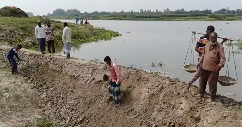 আত্রাইয়ে নদীর পানি বাড়ছে, পাকা ধান নিয়ে উদ্বেগে কৃষক