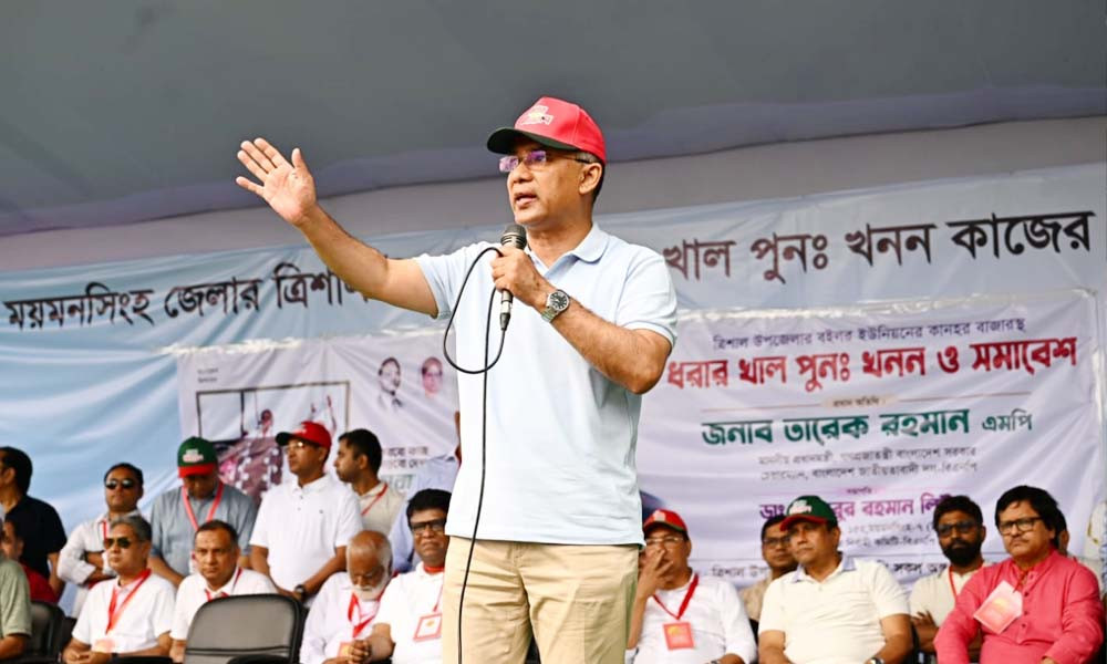 পতিত স্বৈরাচারের সঙ্গে একটি গোষ্ঠীর মিল দেখা যায় : প্রধানমন্ত্রী