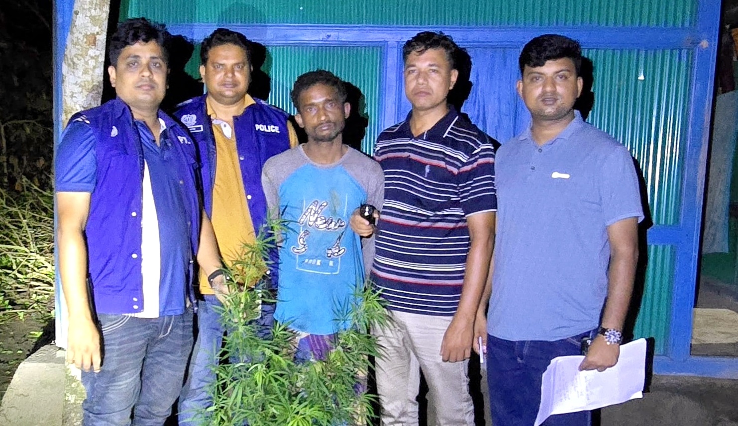 মুরাদনগরে বাড়ির আঙিনায় গাঁজা চাষ, গ্রেপ্তার ১