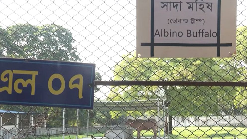 ‘ডোনাল্ড ট্রাম্প’ বানান ভুল লিখে ভাইরাল চিড়িয়াখানা কর্তৃপক্ষ
