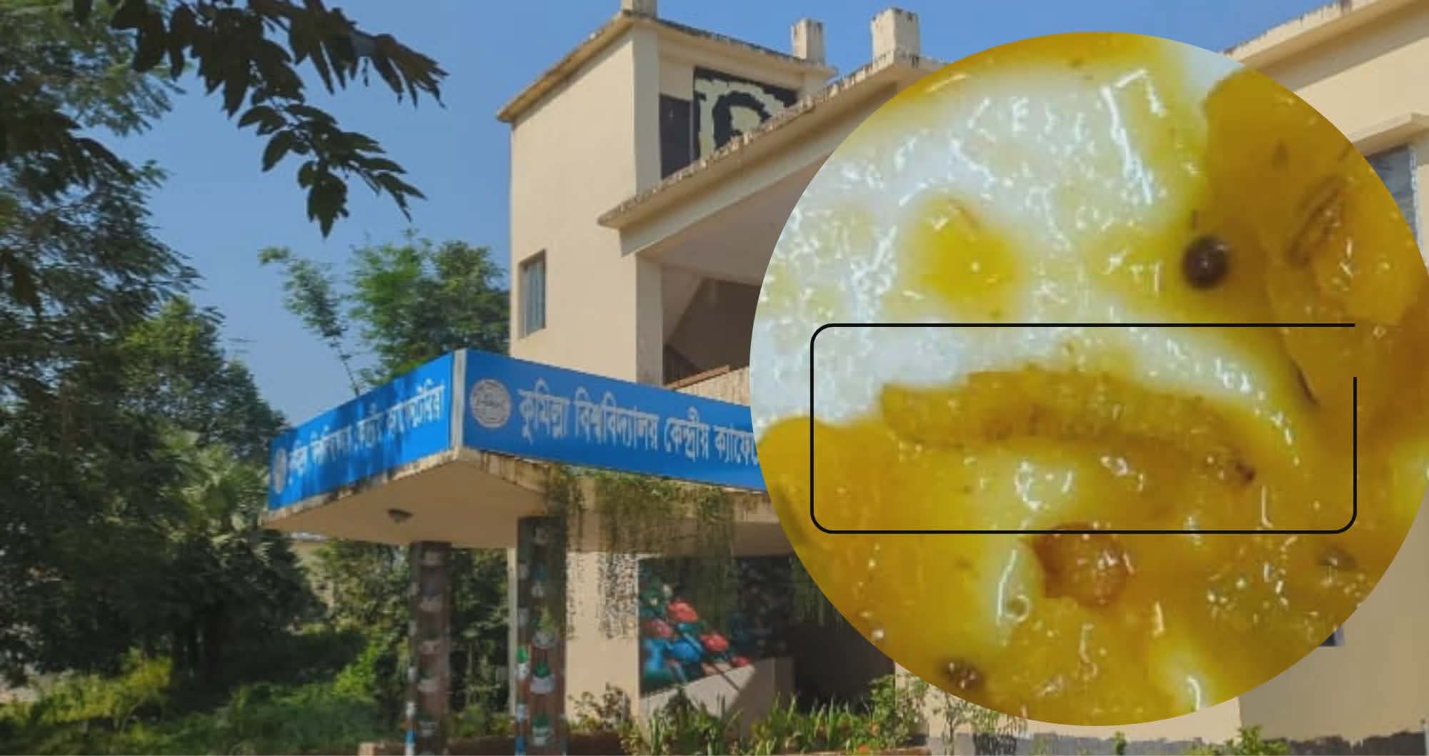 কুবির কেন্দ্রীয় ক্যাফেটেরিয়ার খাবারে পোকা, শিক্ষার্থীদের ক্ষোভ