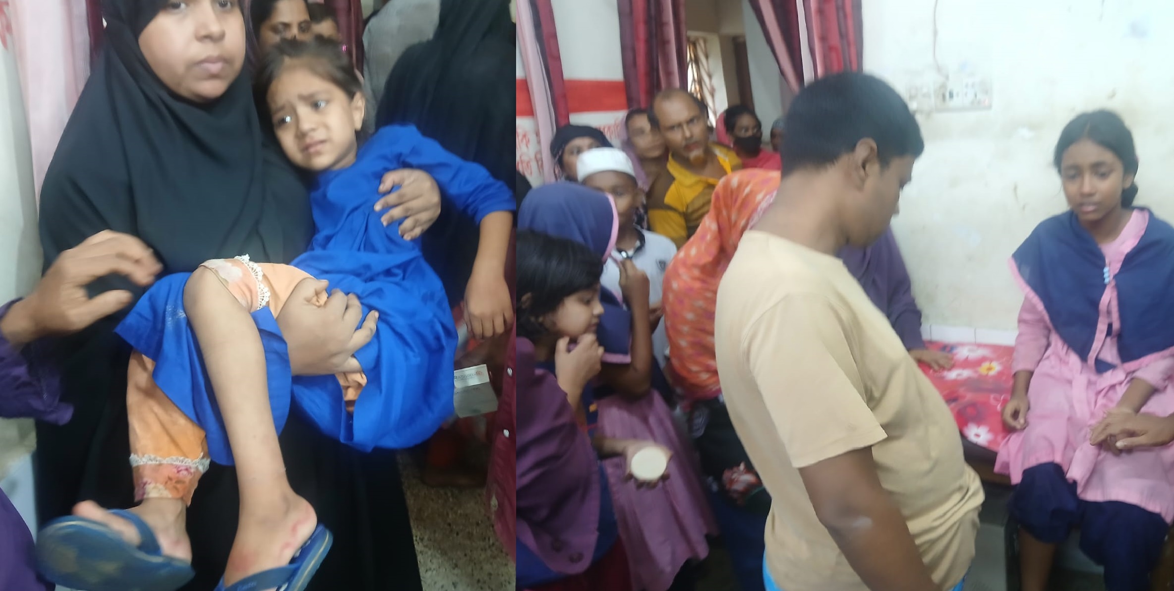দুমকিতে পাগলা কুকুরের তাণ্ডব, শিশুসহ অন্তত ১০ জন আহত