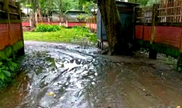 পান্ডুলে গুরুত্বপূর্ণ সড়কে চলাচলে বেহাল দশা, চরম দুর্ভোগে শিক্ষার্থী ও সাধারণ মানুষ