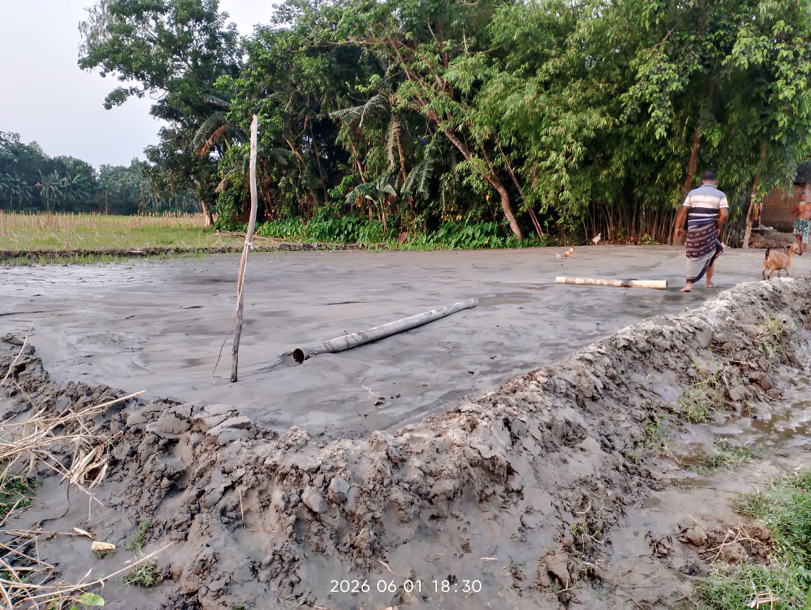 ভয়াবহ নদীভাঙন: ৪০ বিঘা জমি বিলীন, ঘরবাড়ি-শিক্ষাপ্রতিষ্ঠান হুমকিতে