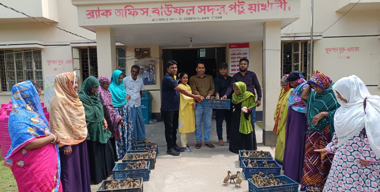 বাউফলে ব্র্যাকের উদ্যোগে নারীদের হাঁস পালন প্রশিক্ষণ, ৪০০ হাঁসের বাচ্চা বিতরণ