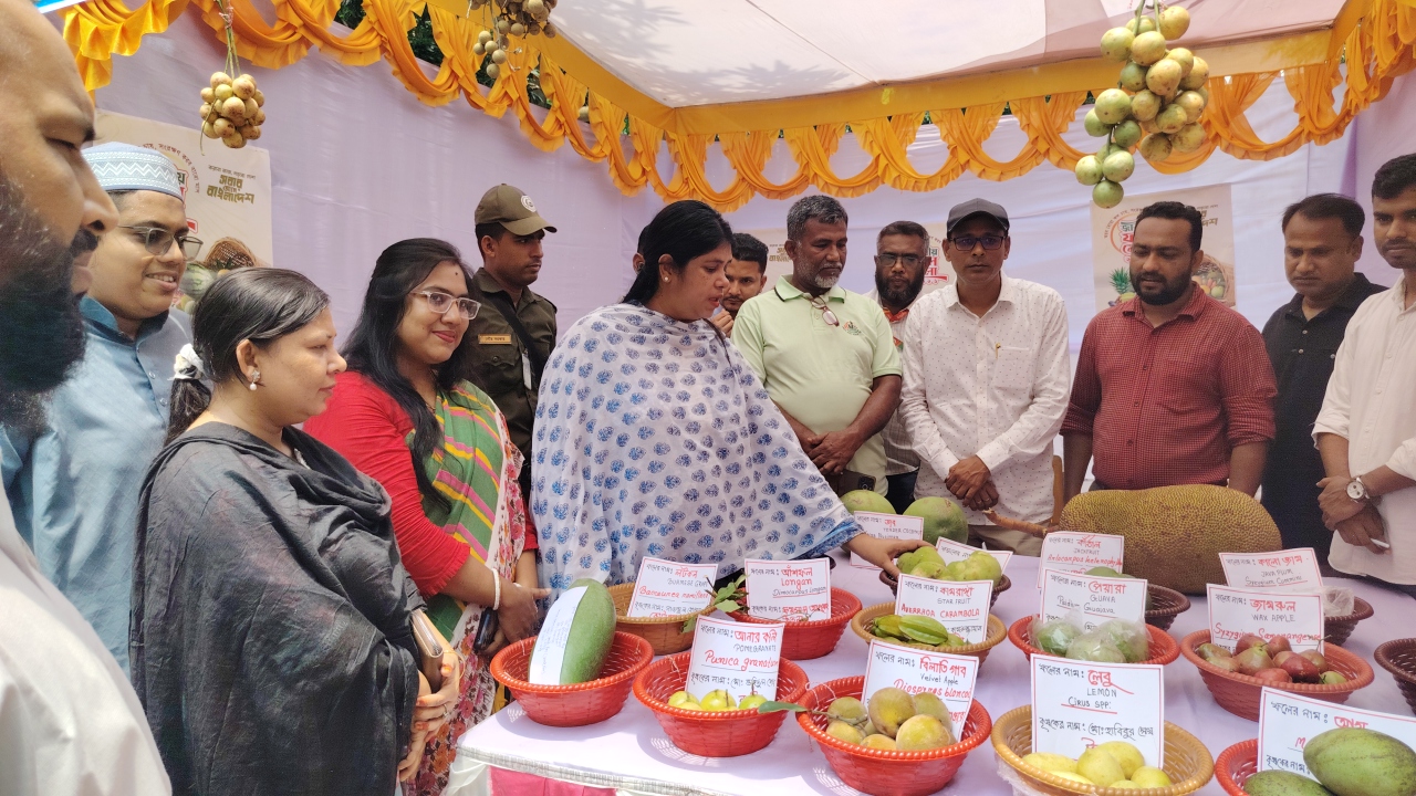 লোহাগড়ায় তিনদিন ব্যাপী ফল মেলার উদ্বোধন