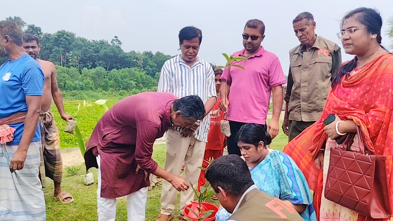 লোহাগড়ায় ৫৪ হাজার বৃক্ষরোপণ কর্মসূচির উদ্বোধন: সবুজ বিপ্লবের নতুন দিগন্ত