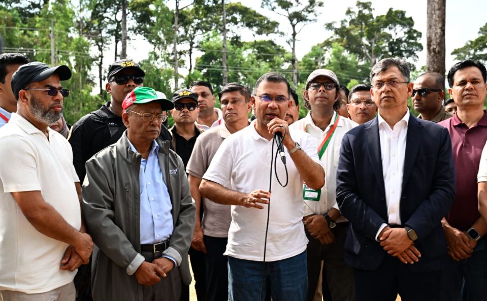 আসুন আমাদের সন্তানদের বুক ভরে শ্বাস নিতে একটি করে গাছ লাগাই: প্রধানমন্ত্রী