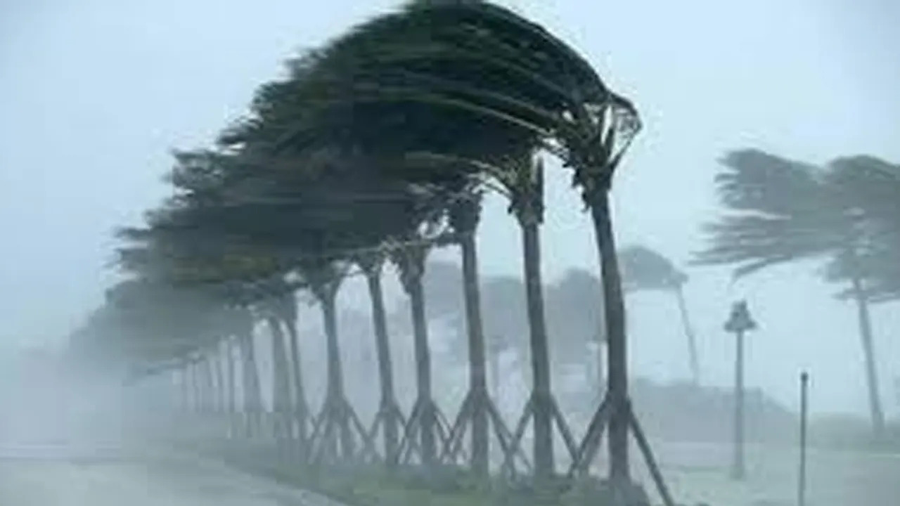 সন্ধ্যার মধ্যে ১১ জেলায় ঝড়ের আভাস, নদীবন্দরে সতর্কবার্তা
