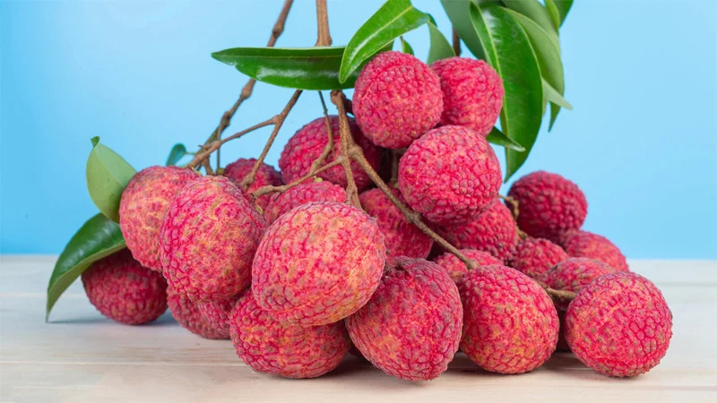 খালি পেটে লিচু খেলে শরীরে যা ঘটে