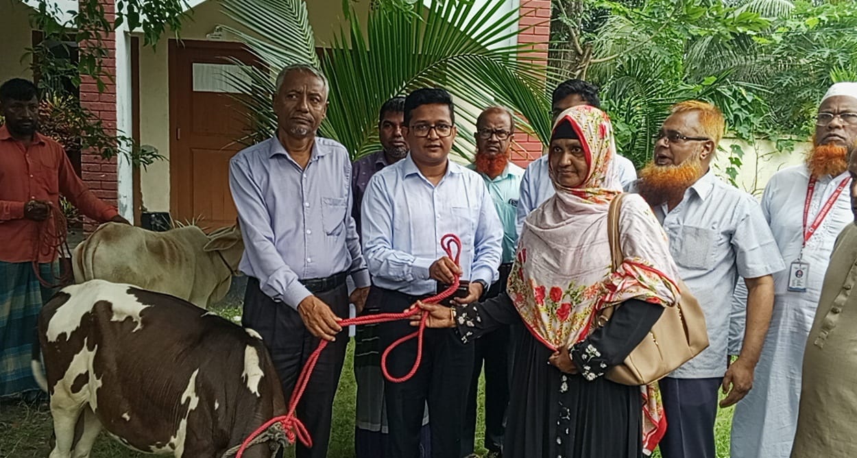 শিবচরে”হত দরিদ্র ৬টি পরিবারের মাঝে বিনামূল্যে ভিলেজ ডেভেলপমেন্ট সোসাইটির গাভী বিতরন
