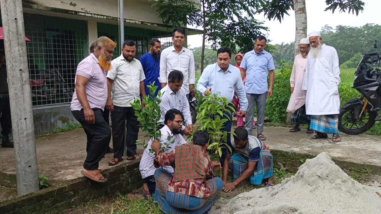 দুমকির ৬১ শিক্ষা প্রতিষ্ঠানে বৃক্ষরোপণ কর্মসূচি শুরু