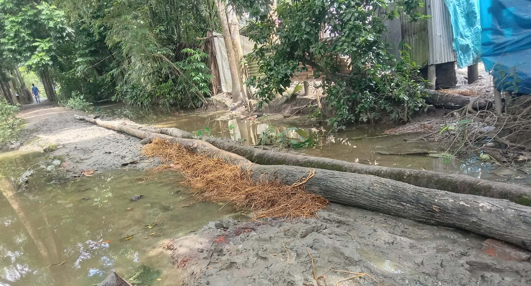 রাস্তা নেই, ভরসা এখন সাঁকো: দুমকির মুরাদিয়ায় চরম দুর্ভোগে হাজারো মানুষ