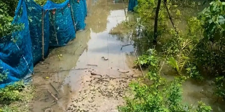 আত্রাইয়ে পানিবন্দি ১৫ পরিবার, খবর পেয়ে সহায়তার হাত বাড়ালেন ইউএনও