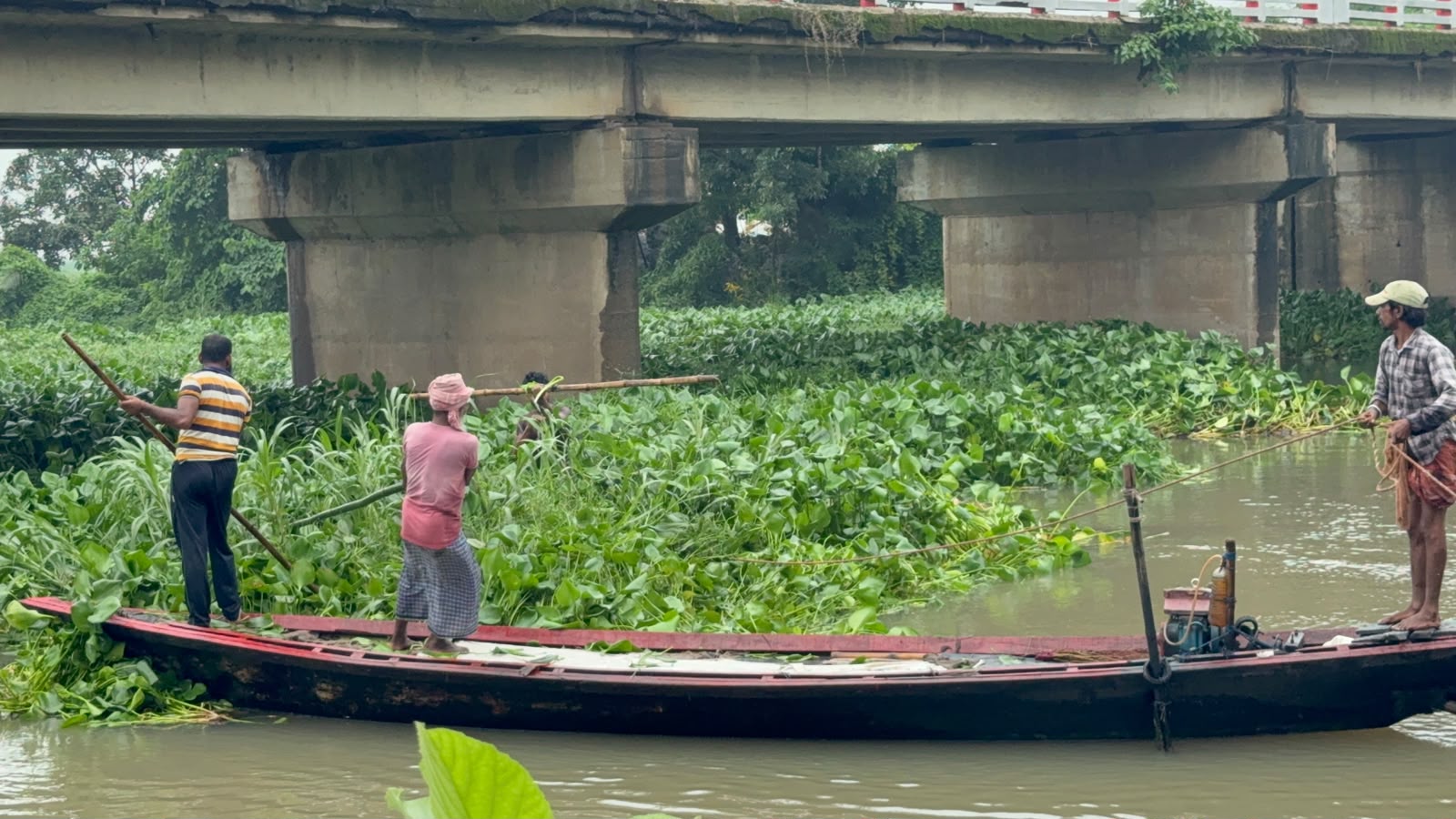 সিংড়ায় এমপি আনুর নির্দেশনায় হিয়ালা বিলের কচুরিপানা অপসারণ কাজের উদ্বোধন