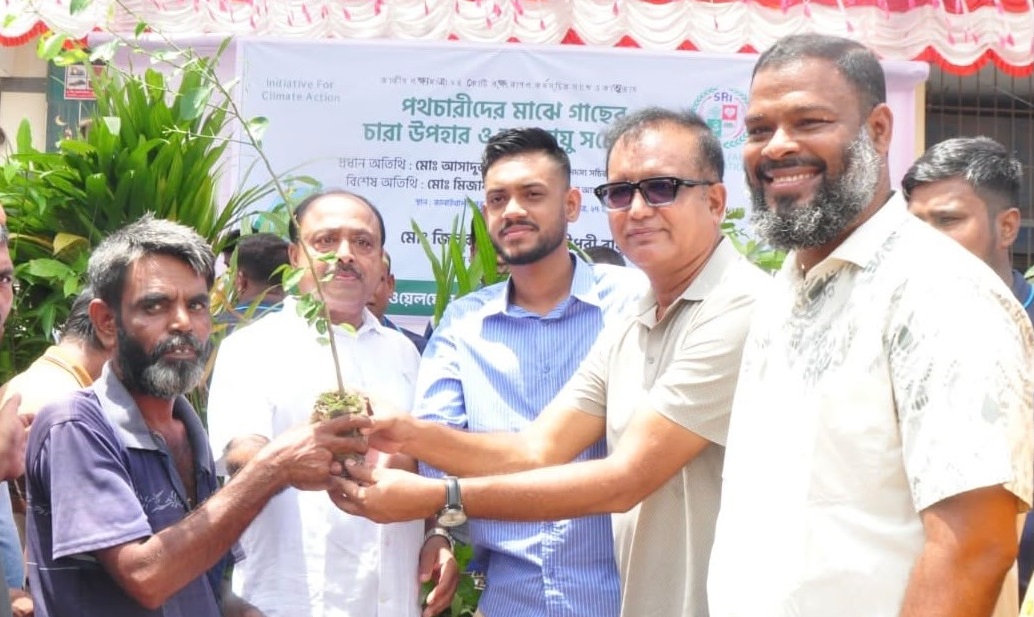 নাটোরে পথচারীদের মাঝে গাছের চারা বিতরণ