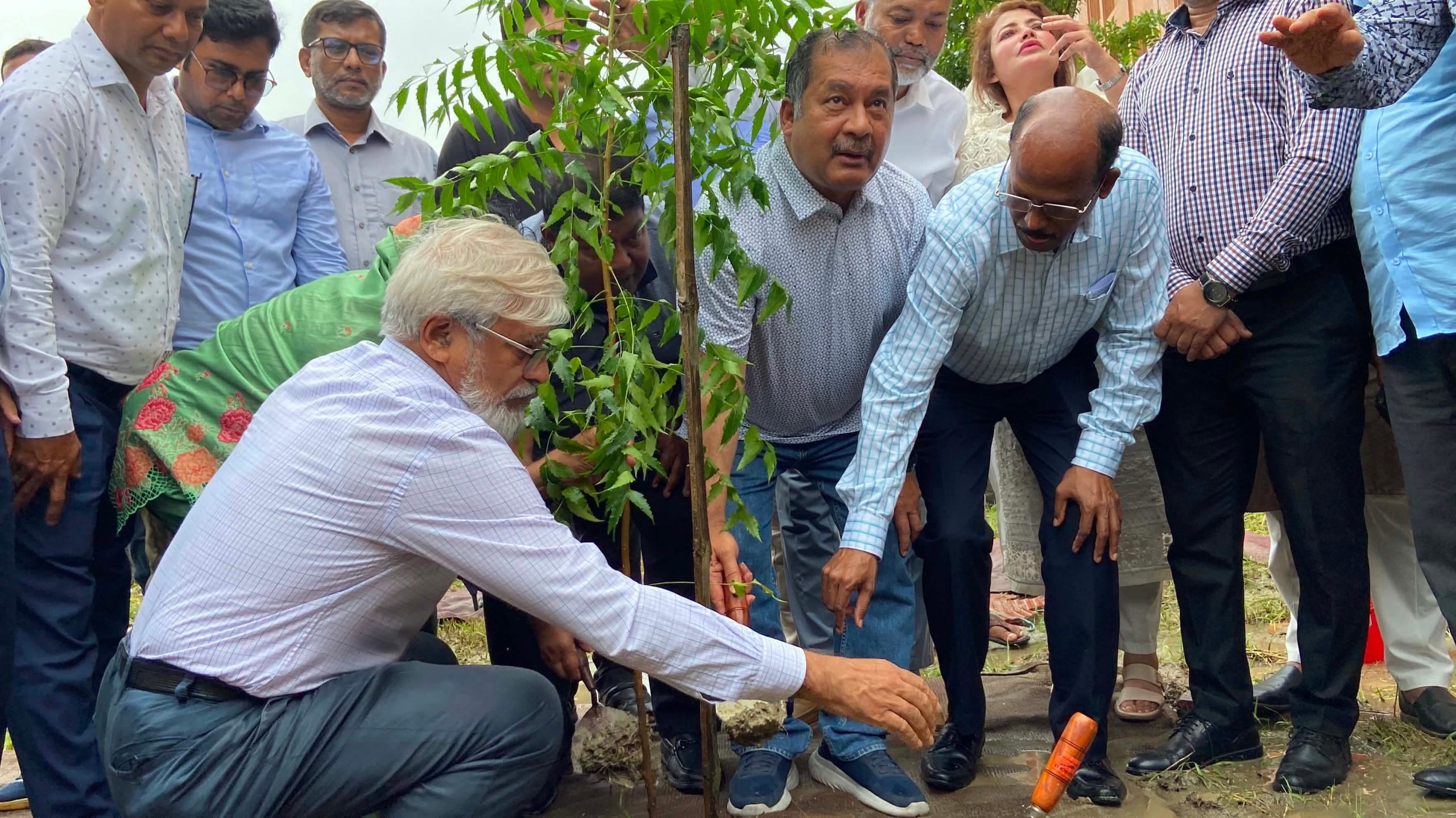 ববি’তে জিয়াউর রহমান ফাউন্ডেশনের উদ্যোগে বৃক্ষরোপণ কর্মসূচি অনুষ্ঠিত