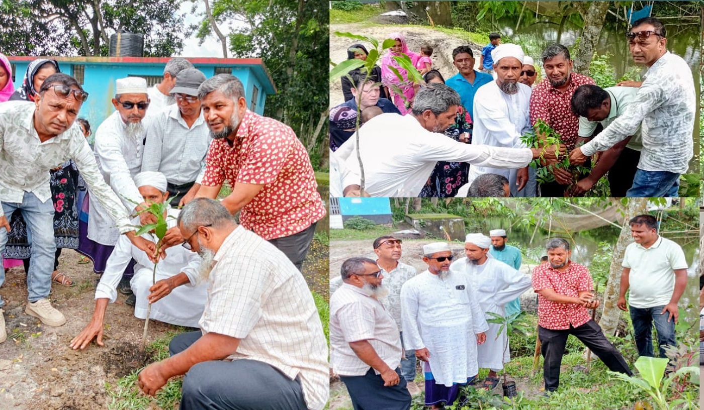 মাদারীপুরের টুবিয়া সরকারি প্রাথমিক বিদ্যালয় প্রাঙ্গনে বৃক্ষরোপন কর্মসূচি পালন