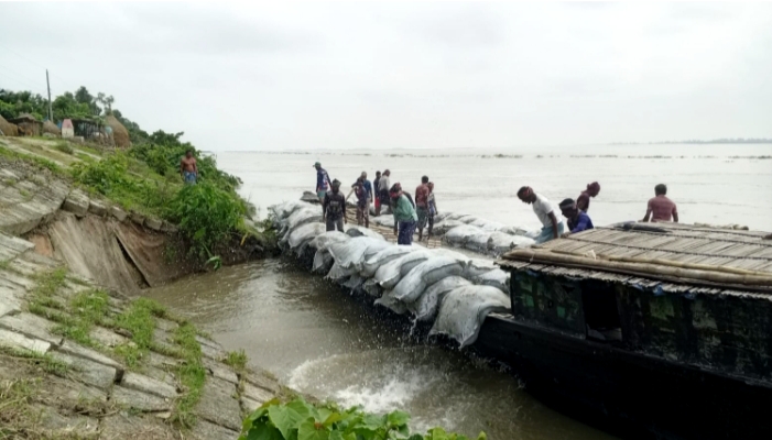কুড়িগ্রামে তীব্র নদীভাঙন মোকাবিলায় নিরলস কাজ করছে পানি উন্নয়ন বোর্ড