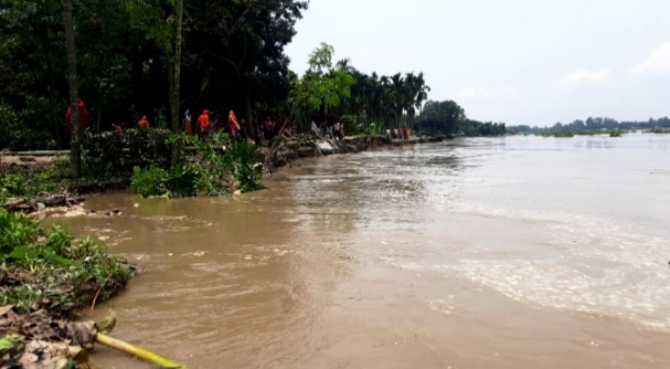 কুড়িগ্রামে উজানের ঢলে হু হু করে বাড়ছে তিস্তার পানি, প্লাবিত হচ্ছে চর-দ্বীপচর