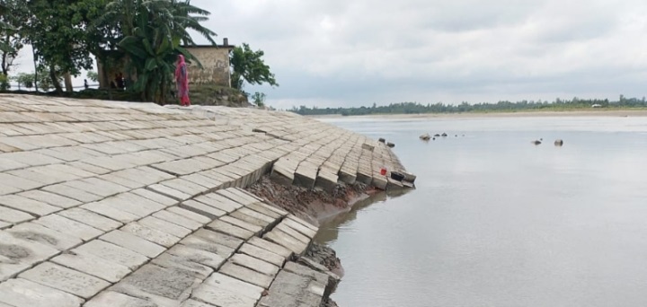 কুড়িগ্রামে ধরলা নদীর তীরে বন্যা নিয়ন্ত্রণ বাঁধে ভয়াবহ ধস, নদীগর্ভে দেবে যাচ্ছে সিসি ব্লক