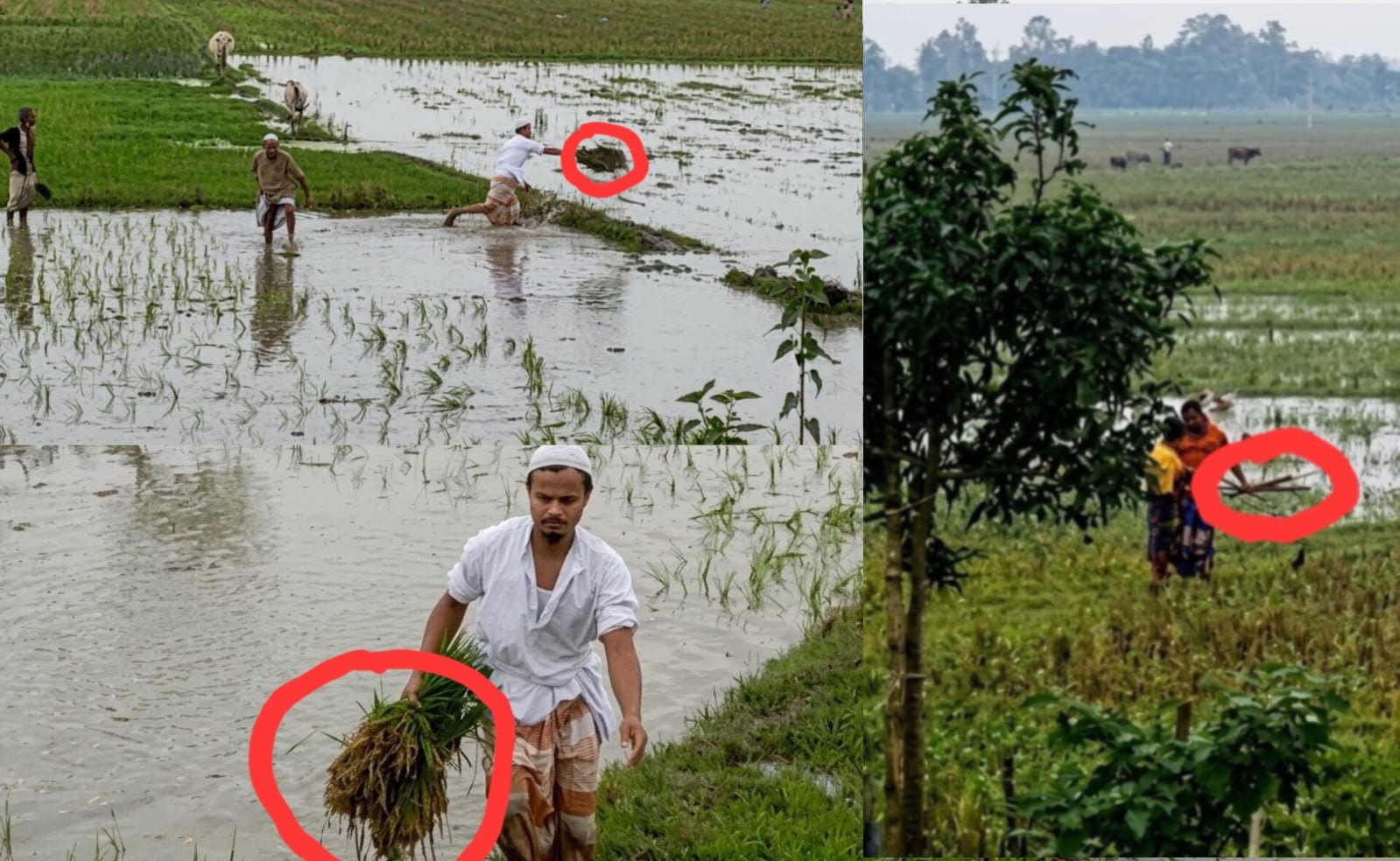 আদালতের আদেশ অমান্য করে তারাগঞ্জে জমি বেদখল, হামলা ও শ্লীলতাহানির অভিযোগ