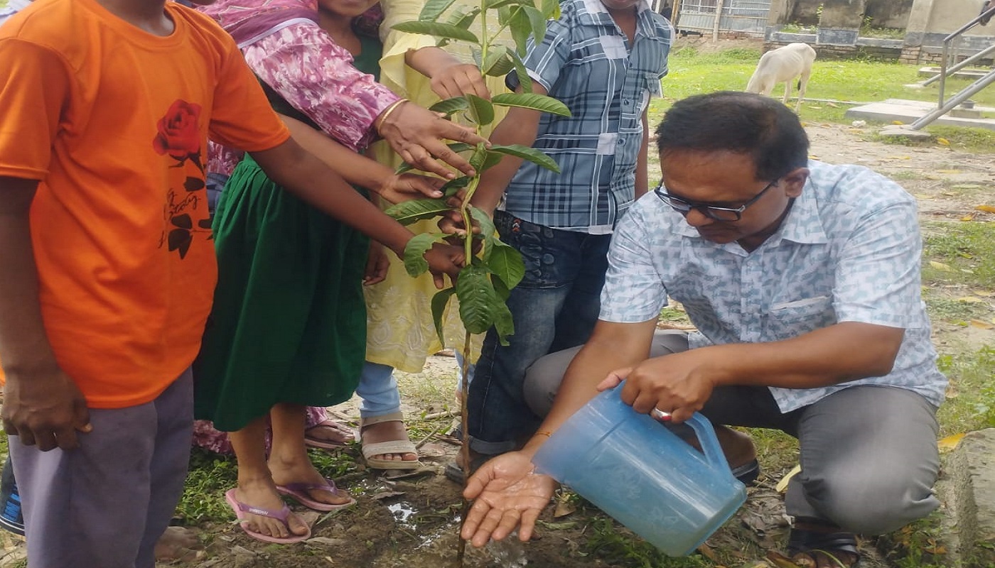 তারাগঞ্জে চিলাপাক সরকারি প্রাথমিক বিদ্যালয়ে বৃক্ষরোপণ