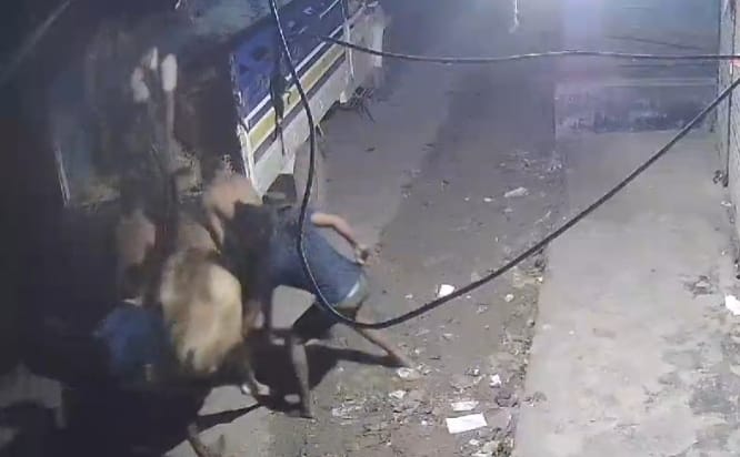 কালীগঞ্জে গরু চুরির হিড়িক : আতঙ্কে খামারিরা