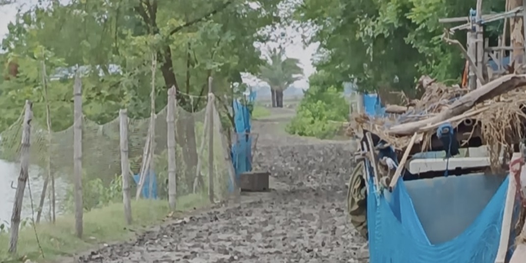 আশাশুনির উত্তর পুঁইজালা-লক্ষিখালী জিপিএস সড়ক পাকাকরণের জোর দাবি