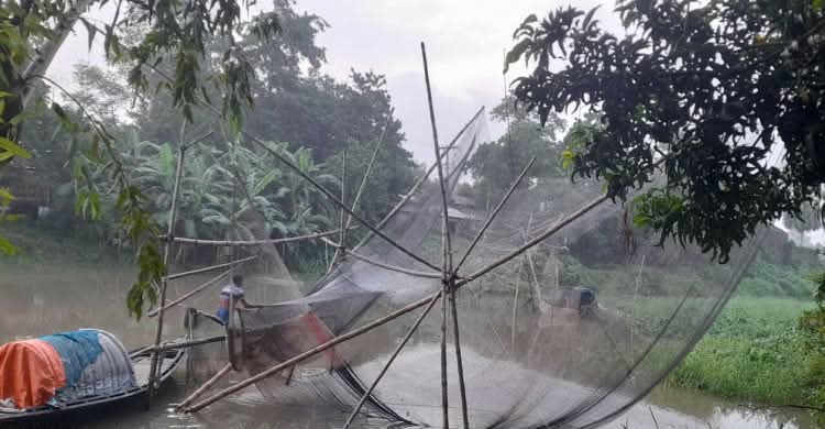 আত্রাইয়ে নদ-নদীতে পানি বৃদ্ধি,মাছ শিকারে জেলেরা