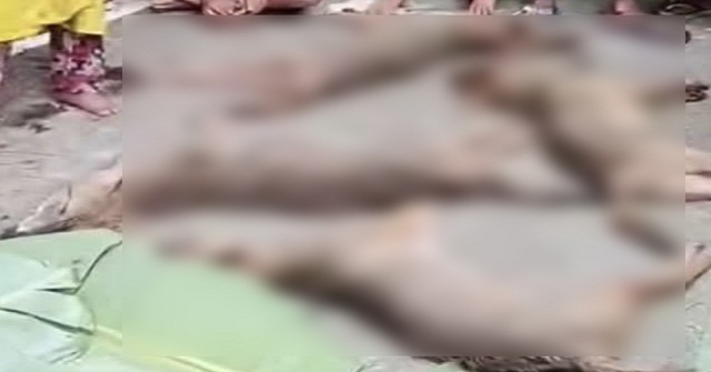 বরিশাল নগরীতে শিয়ালের মাংস বিক্রির বিজ্ঞাপন