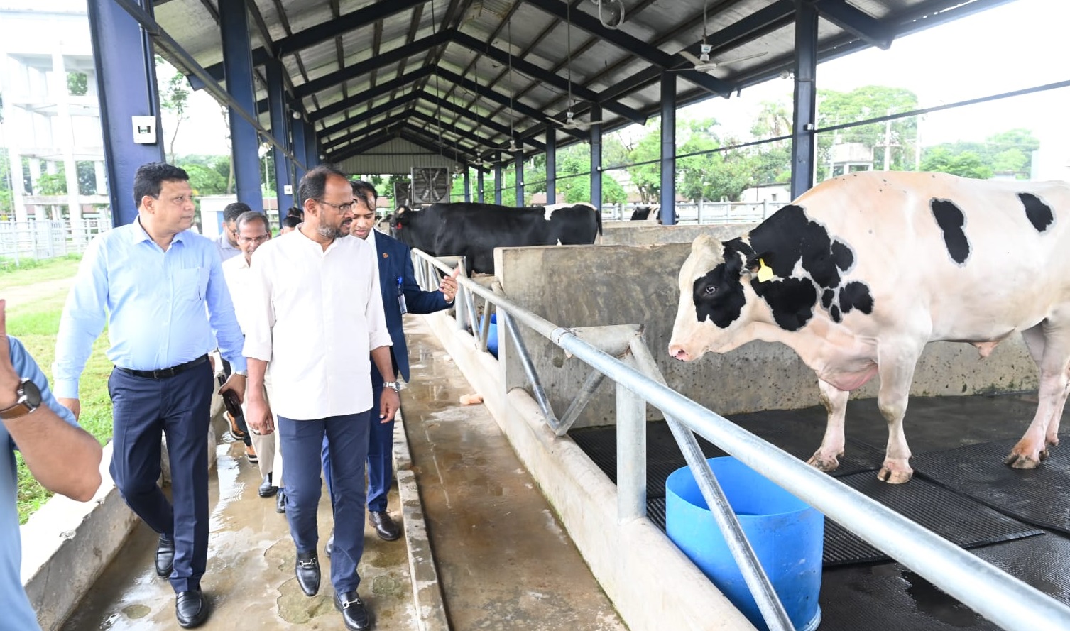 দেশী জাতের গবাদিপশু উন্নয়নে কার্যকর পদক্ষেপ নেওয়া হবে: প্রাণিসম্পদ প্রতিমন্ত্রী
