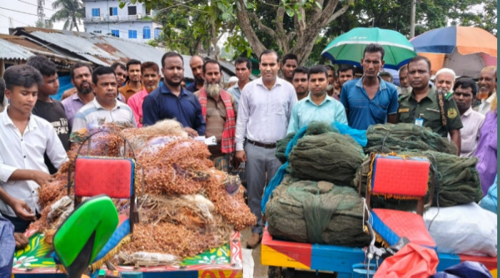 রাণীনগরে লক্ষাধিক টাকার নিষিদ্ধ জাল জব্দ; দুই ব্যবসায়ীর অর্থদণ্ড