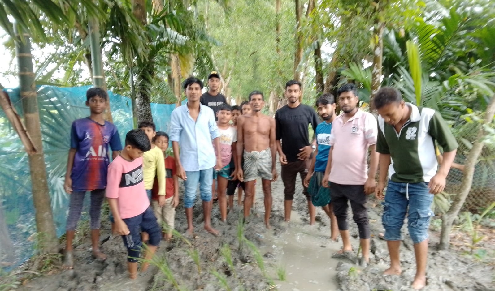 চলাচলের সড়ক যখন ধানের জমি, কমলনগরে এলাকাবাসীর ব্যতিক্রমী প্রতিবাদ