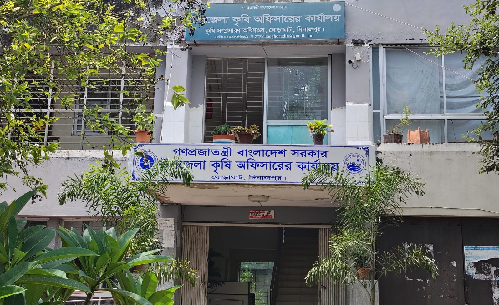 খামারি অ্যাপের সুপারিশ বনাম কৃষকের চাহিদা সার বিক্রিতে বিপাকে ঘোড়াঘাটের ডিলাররা