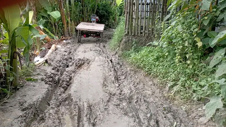 আত্রাইয়ের মথুরাবাটি-খেয়াঘাট সড়কের বেহাল দশা, দ্রুত সংস্কারের দাবি স্থানীয়দের