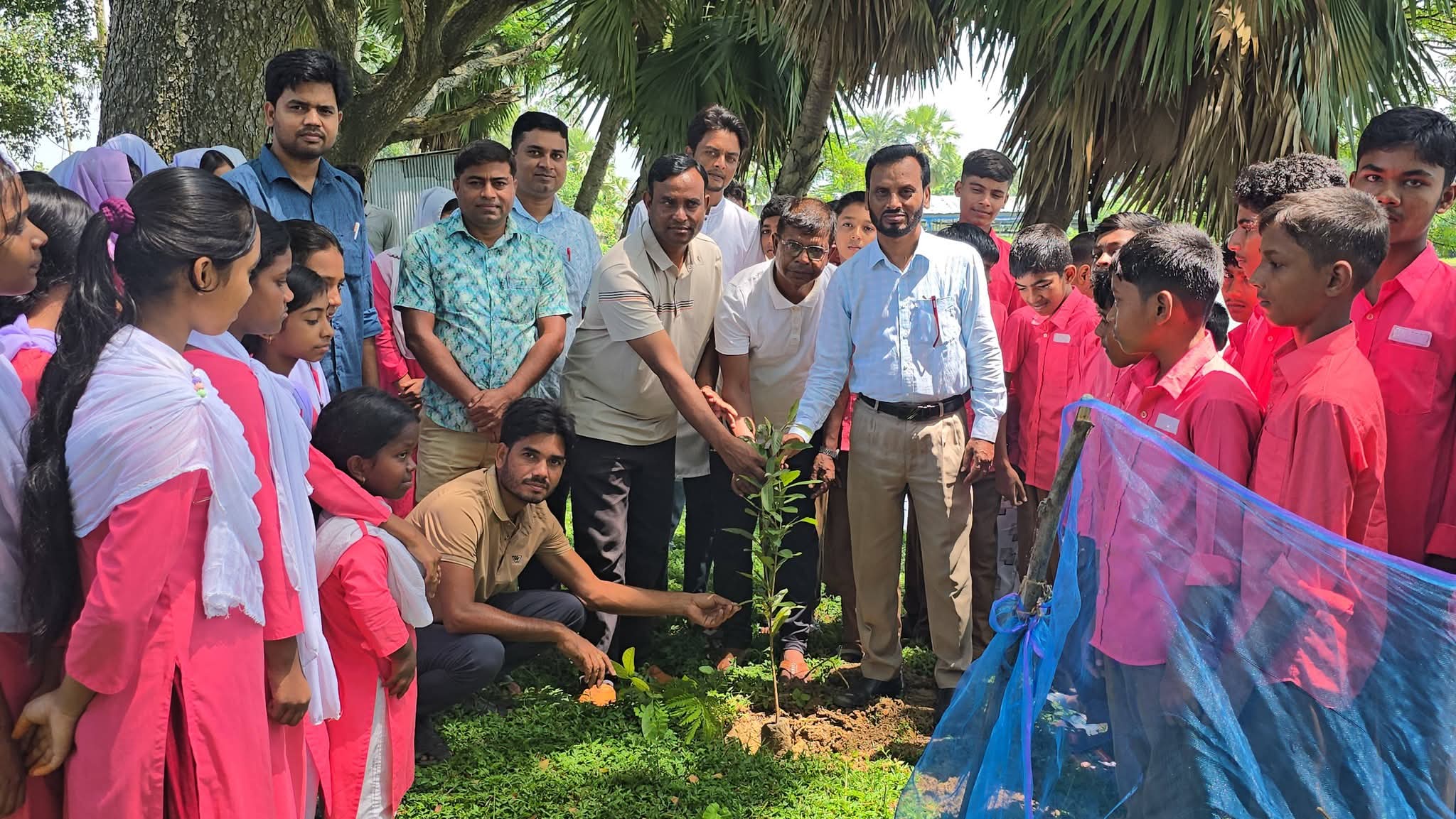 সিংড়ায় ক্ষিদ্রবড়িয়া স্কুলে বৃক্ষরোপণ কর্মসূচি অনুষ্ঠিত