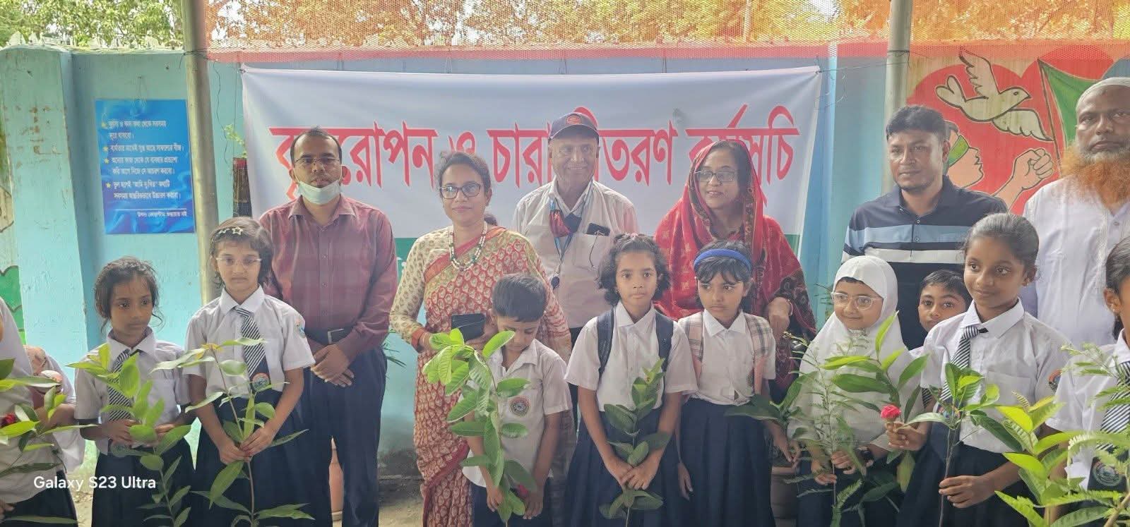 ঝালকাঠিতে পৌরসভার বৃক্ষরোপণ কর্মসূচি