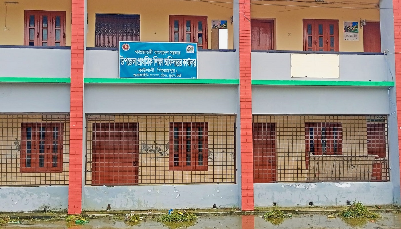 কাউখালীতে সরকারি প্রাথমিক বিদ্যালয়ে গাছের চারার বদলে ডাল রোপন