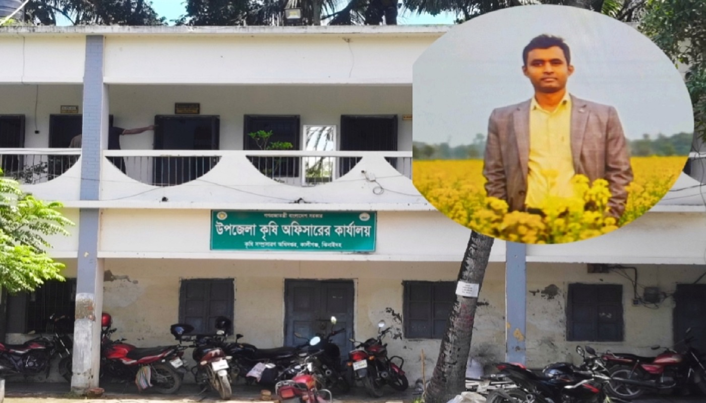 কালীগঞ্জে ব্যাপক সার সংকটে বিপাকে কৃষক