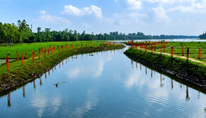 কুড়িগ্রামে পুনঃখনন করা খাল ঘিরে কৃষি ও কর্মসংস্থানে নতুন গতি