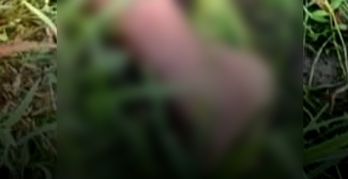 নাগেশ্বরীতে ধানক্ষেত থেকে বিচ্ছিন্ন পা উদ্ধার, এলাকায় চাঞ্চল্য