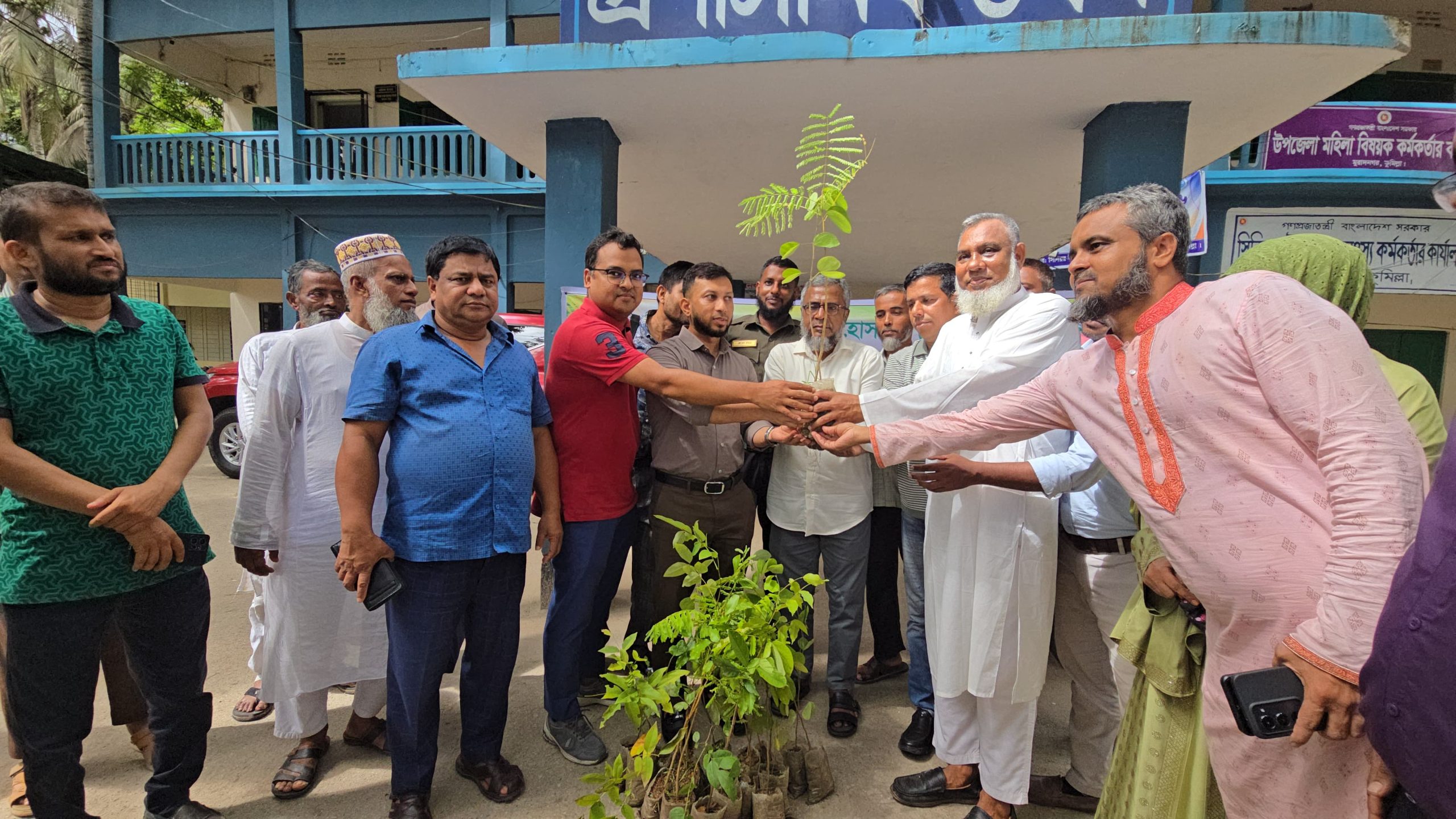 মুরাদনগরে ধর্মমন্ত্রীর উদ্যোগে ১০ হাজার গাছের চারা বিতরণ
