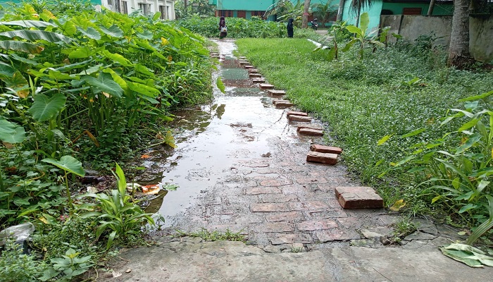 জলাবদ্ধতায় চরম দুর্ভোগে গৌরনদী পৌরবাসী, বাড়ছে স্বাস্থ্যঝুঁকি