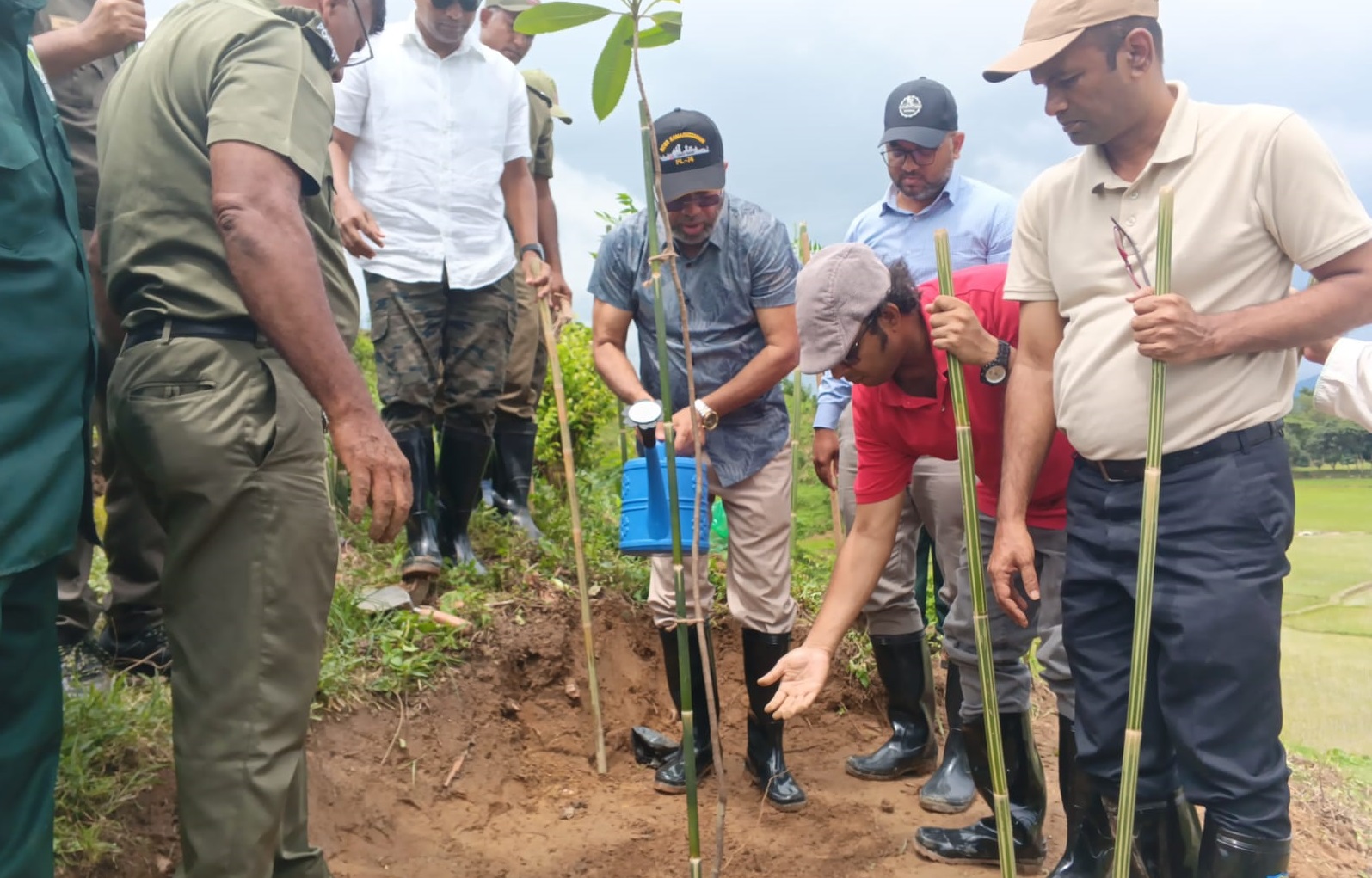 টেকনাফের সংরক্ষিত বনে ৪০ হেক্টরের নতুন বাগানে চারা রোপণ করলেন পরিবেশ প্রতিমন্ত্রী