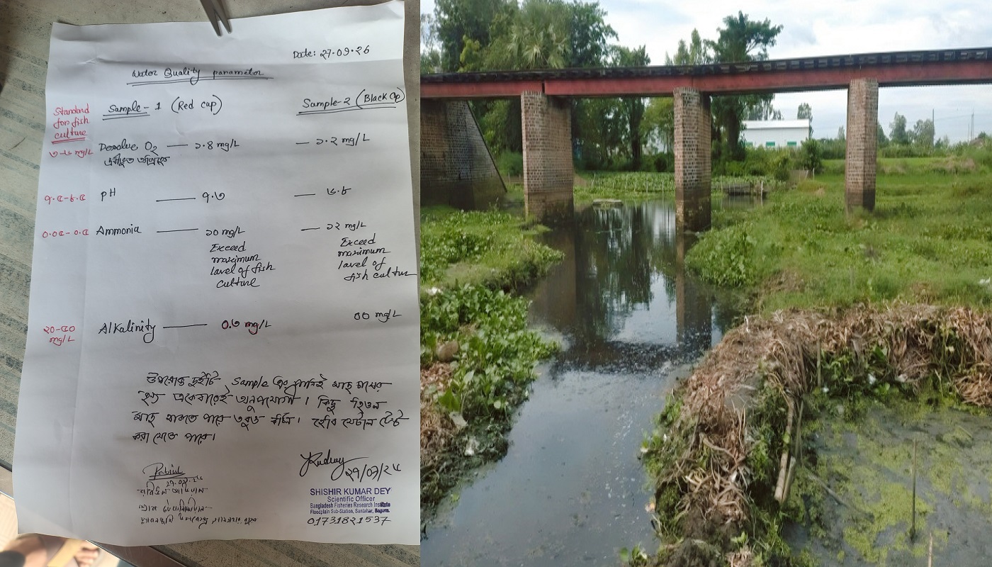 আদমদীঘিতে অটো রাইস মিলের বর্জ্য পরিশোধনাগার ছাড়াই চলছে, দূষিত হচ্ছে খাল-ফসলি জমি