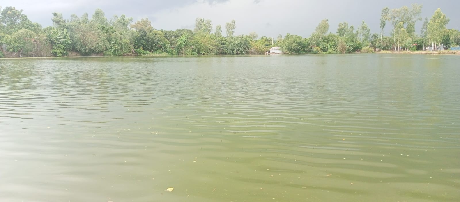 ৫৩ পরিবারের বরাদ্দের বিলে ‘তৃতীয় পক্ষের’ থাবা—শর্ত ভঙ্গের অভিযোগ