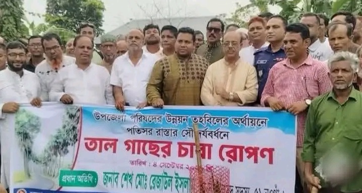 আত্রাইয়ে পতিসর সড়কের সৌন্দর্যবর্ধনে তালগাছের চারা রোপণ